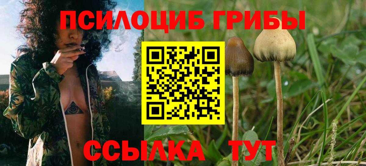 Псилоцибиновые грибы мицелий Миасс