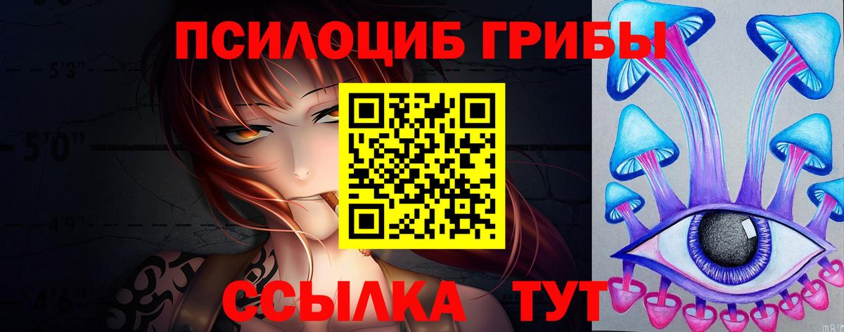 Миасс  Псилоцибиновые грибы прущие грибы  Вход с VPN 